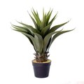 Dare2Decor 22 in. Green Potted Aloe Vera Pot DA2676108